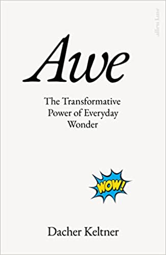 Awe (Hardcover, Allen Lane)