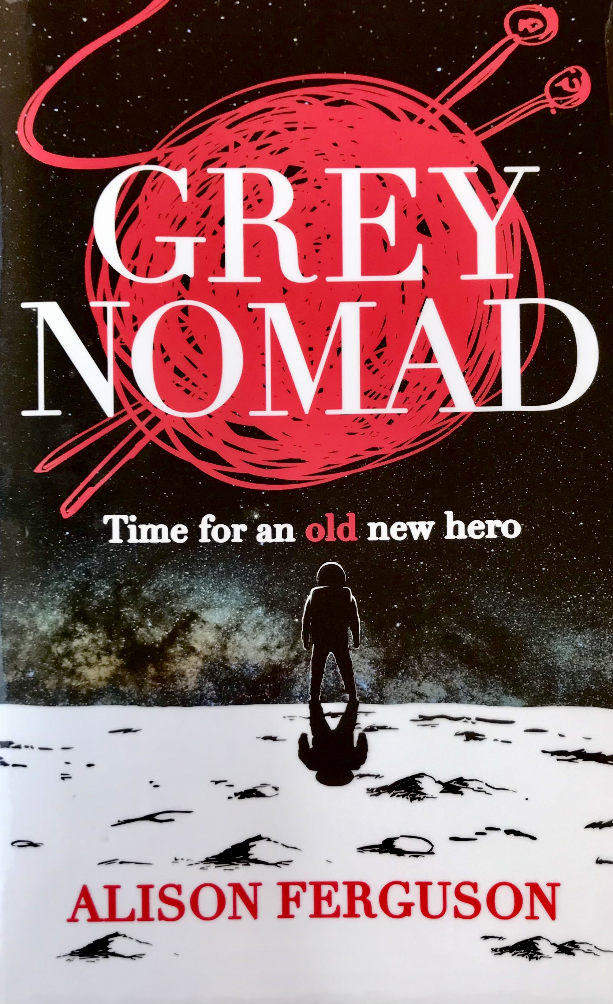 Grey Nomad (Paperback, Brio Books)