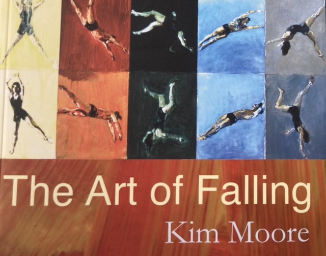 Art of Falling (2015, Seren Books)